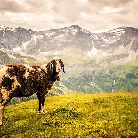 Voelserhof מלון 4*